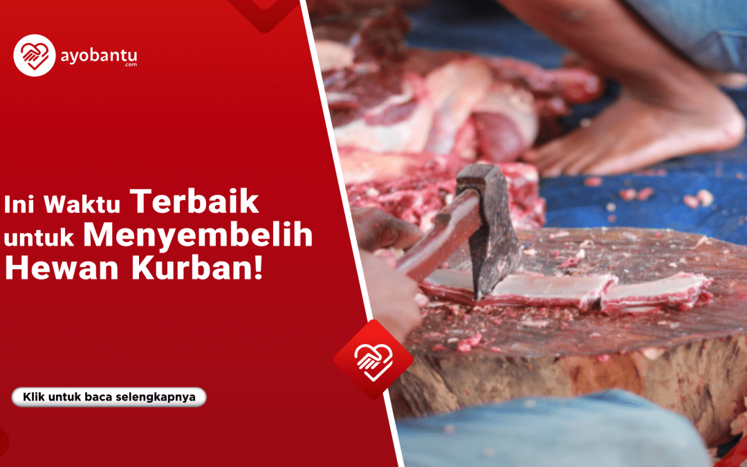 kurban