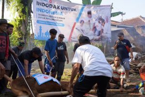 Pemotongan hewan kurban di Kp. Cineam, Tasikmalaya